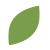 leaf icon